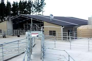 Meal Feeding Systems