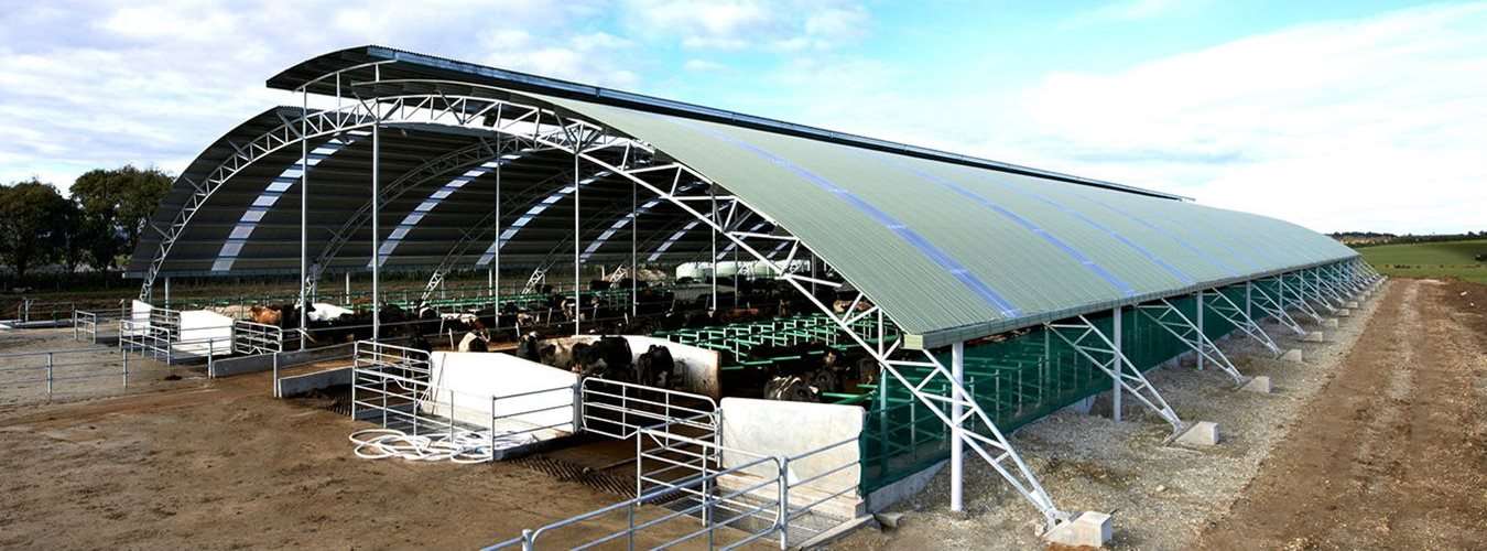 shed designs new zealand